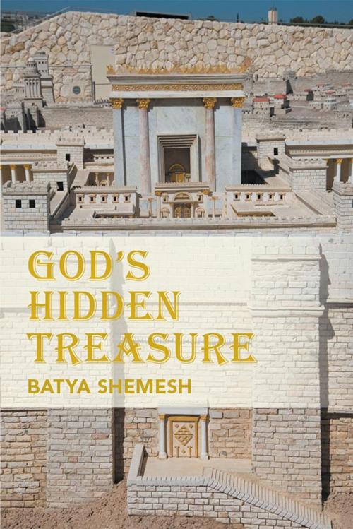 Cover of the book God's Hidden Treasure by Batya Shemesh, Xlibris US