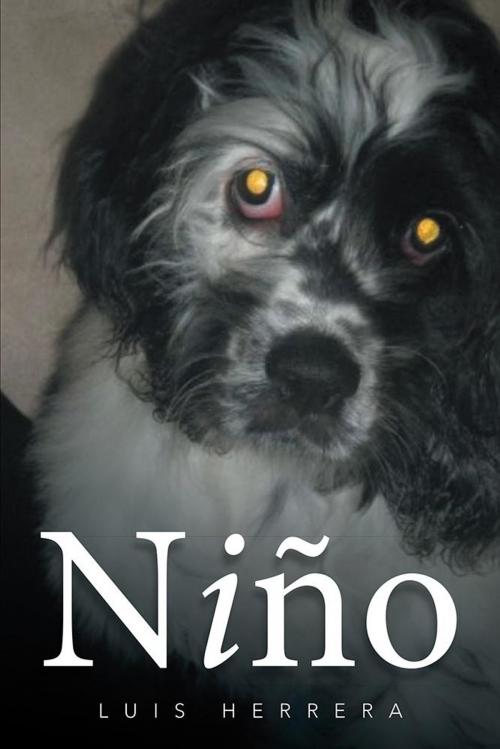 Cover of the book Niño by Luis Herrera, Xlibris US