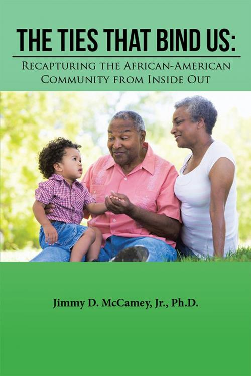 Cover of the book The Ties That Bind Us: Recapturing the African-American Community from Inside Out by Jimmy D. McCamey Jr. Ph.D., Xlibris US
