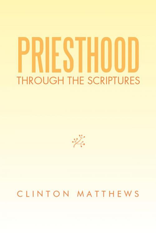 Cover of the book Priesthood Through the Scriptures by Clinton Matthews, Xlibris US