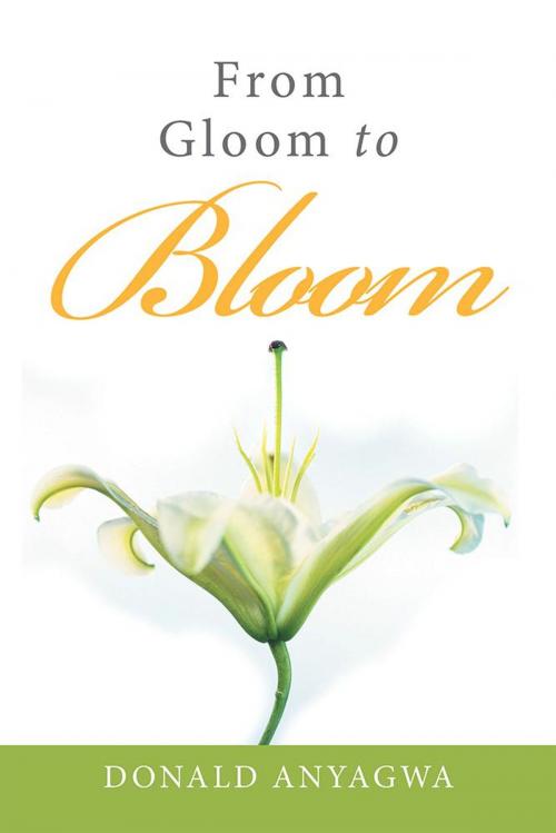 Cover of the book From Gloom to Bloom by Donald Anyagwa, Xlibris UK