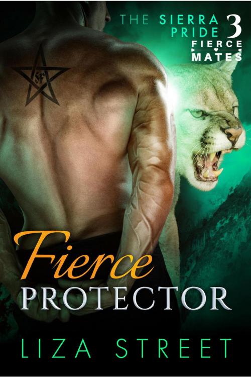 Cover of the book Fierce Protector by Liza Street, Liza Street