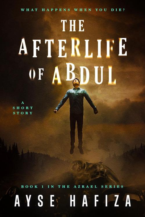 Cover of the book The Afterlife of Abdul by Ayse Hafiza, Ayse Hafiza
