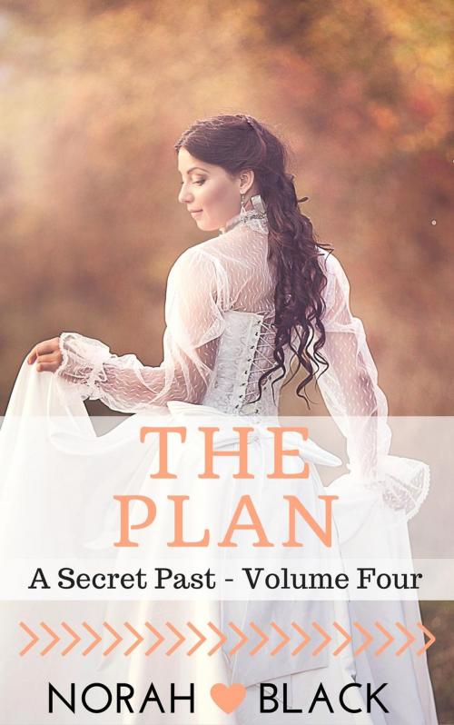 Cover of the book The Plan (A Secret Past - Volume Four) by Norah Black, Roja Publishing