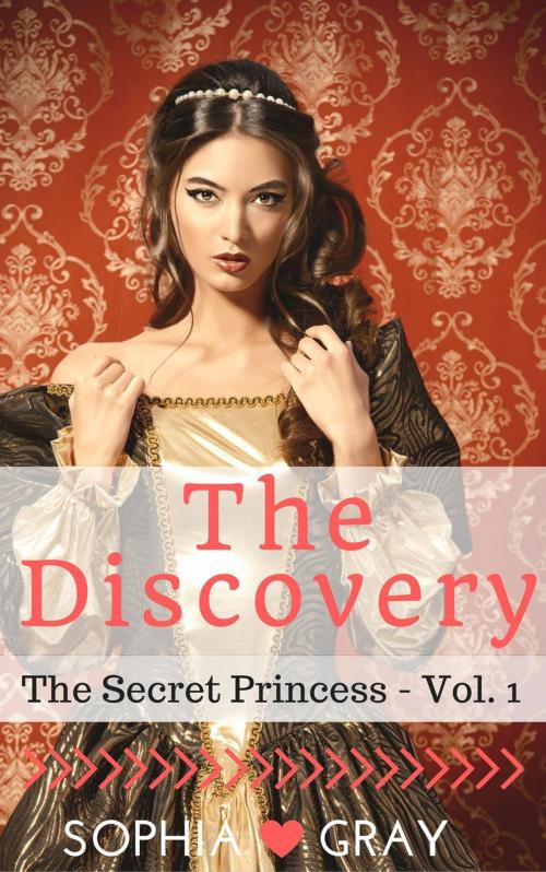 Cover of the book The Discovery (The Secret Princess - Vol. 1) by Sophia Gray, Roja Publishing