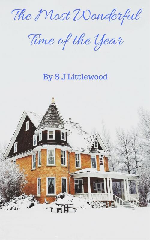 Cover of the book The Most Wonderful Time of the Year by S J Littlewood, S J Littlewood