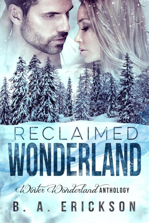 Cover of the book Reclaimed Wonderland by B.A. Erickson, Filbert Publishing