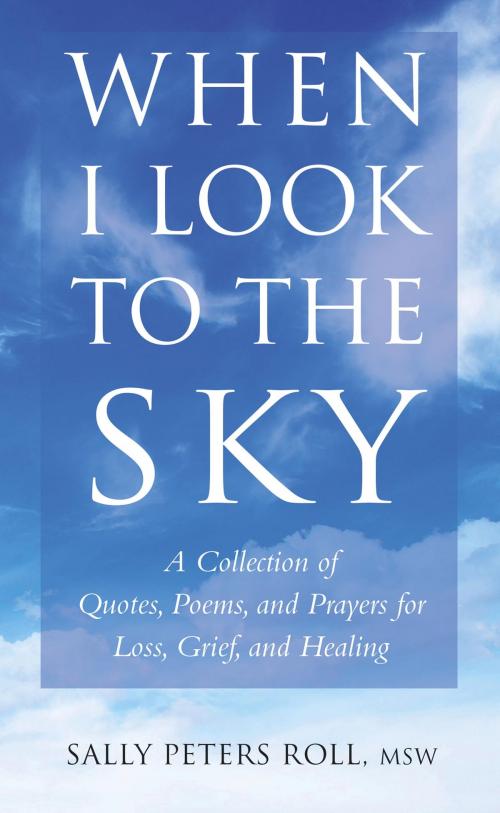 Cover of the book When I Look to the Sky by Sally Roll, Hatherleigh Press