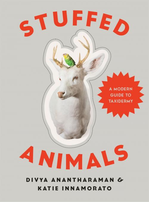 Cover of the book Stuffed Animals: A Modern Guide to Taxidermy by Divya Anantharaman, Katie Innamorato, Countryman Press