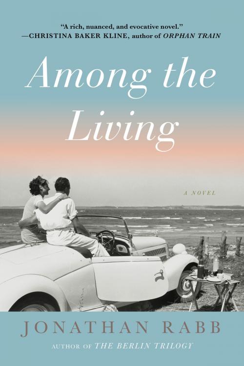 Cover of the book Among the Living by Jonathan Rabb, Other Press
