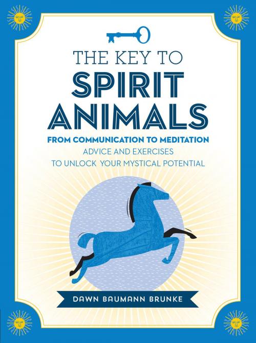 Cover of the book The Key to Spirit Animals by Dawn Baumann Brunke, Fair Winds Press