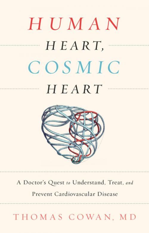 Cover of the book Human Heart, Cosmic Heart by Dr. Thomas Cowan, MD, Chelsea Green Publishing