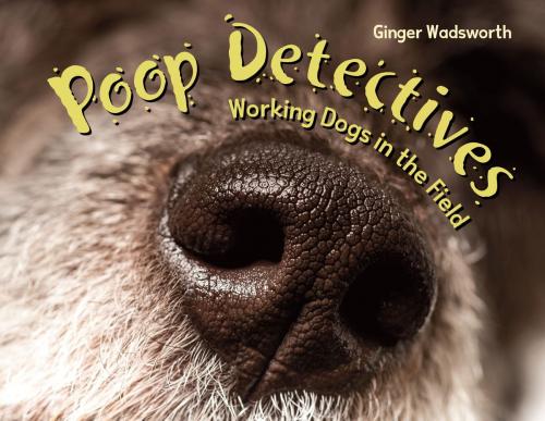 Cover of the book Poop Detectives by Ginger Wadsworth, Charlesbridge