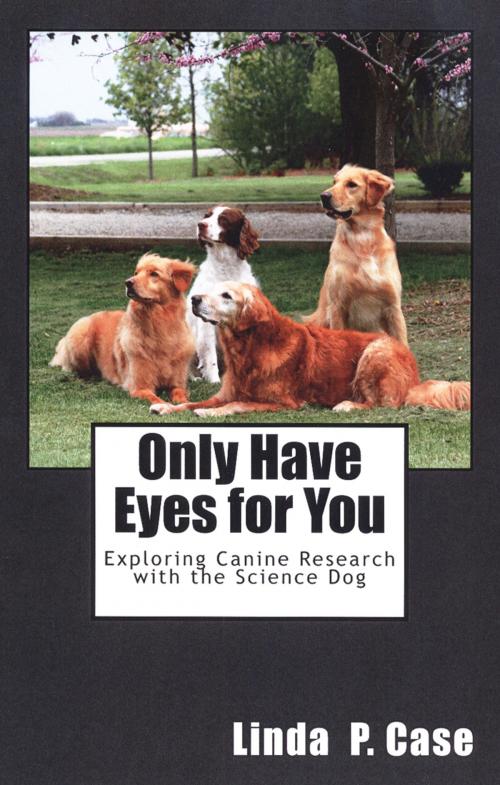 Cover of the book Only Have Eyes For You by Linda Case, Dogwise Publishing