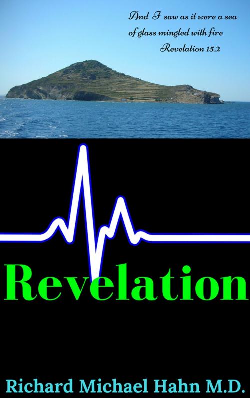 Cover of the book Revelation by Richard Hahn, Rainforest Books