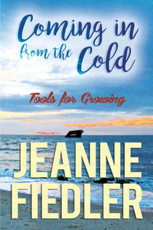 Cover of the book Coming in From the Cold by Jeanne Fiedler, BookWhirl.com