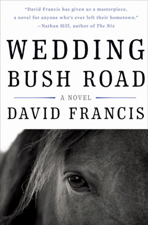 Cover of the book Wedding Bush Road by David Francis, Counterpoint Press