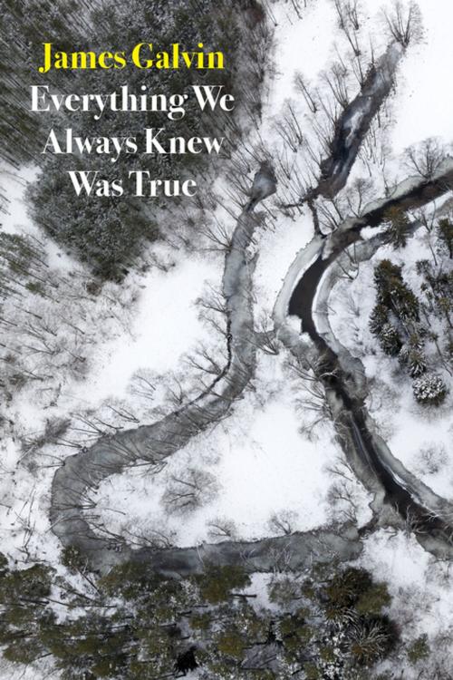 Cover of the book Everything We Always Knew Was True by James Galvin, Copper Canyon Press