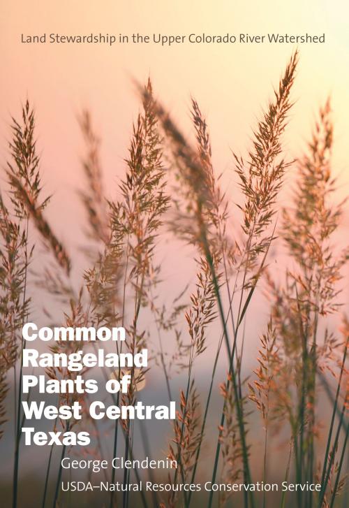Cover of the book Common Rangeland Plants of West Central Texas by George Clendenin, Texas A&M University Press