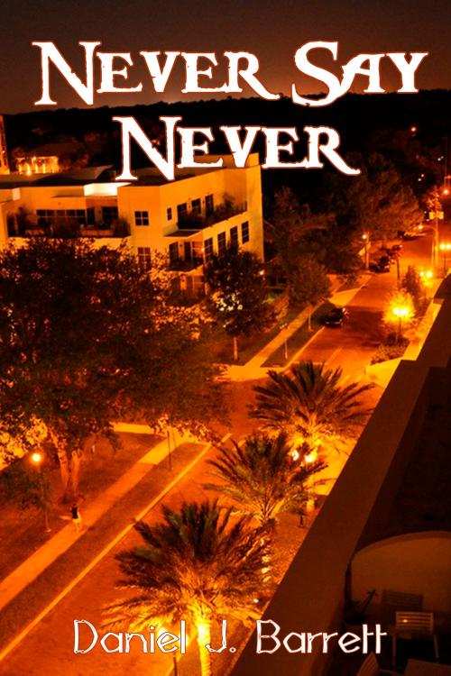 Cover of the book Never Say Never by Daniel J. Barrett, Black Opal Books