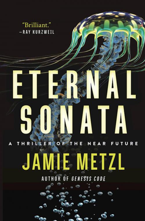 Cover of the book Eternal Sonata by Jamie Metzl, Skyhorse Publishing