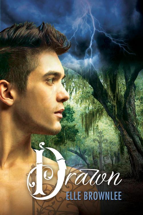 Cover of the book Drawn by Elle Brownlee, Dreamspinner Press