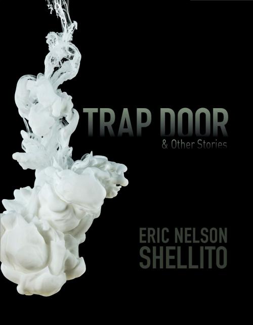 Cover of the book Trap Door by E.N. Shellito, Publish Green