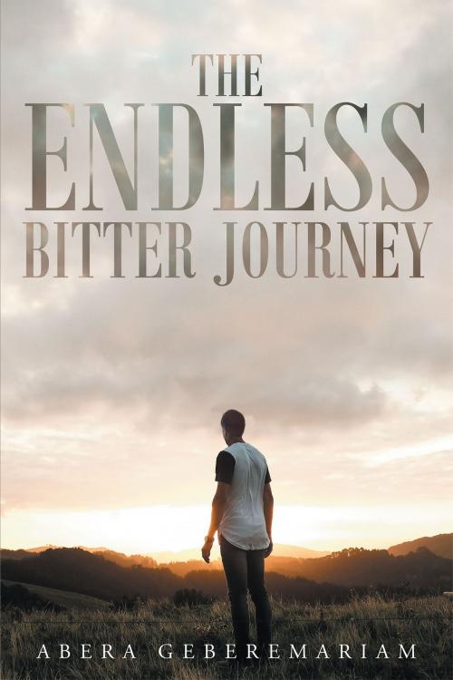 Cover of the book The Endless Bitter Journey by Abera Geberemariam, Christian Faith Publishing