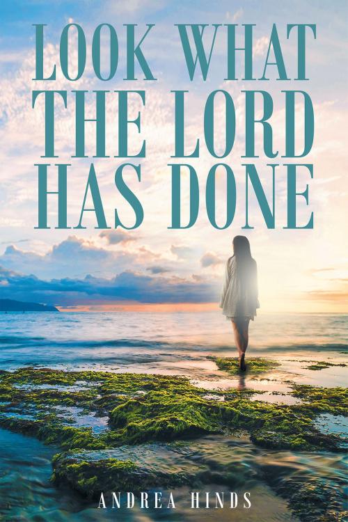 Cover of the book Look What The Lord Has Done by Andrea Hinds, Christian Faith Publishing