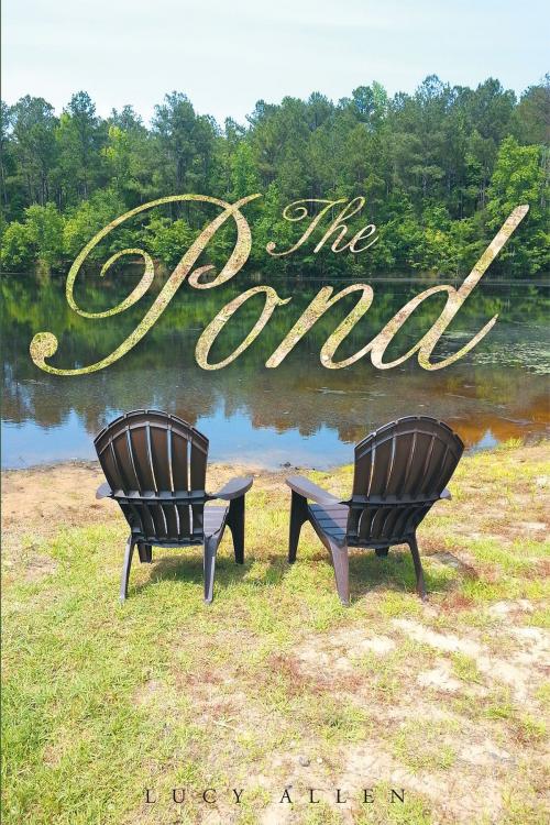 Cover of the book The Pond by Lucy Allen, Christian Faith Publishing