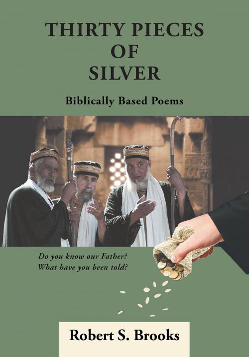 Cover of the book Thirty Pieces of Silver by Robert S. Brooks, Christian Faith Publishing