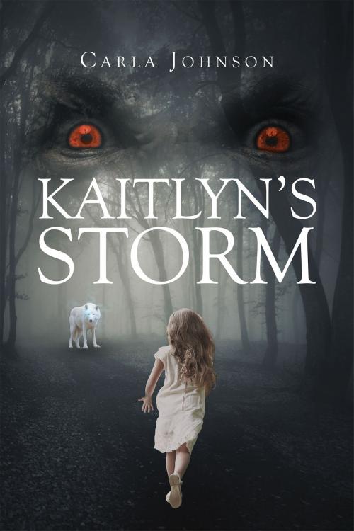 Cover of the book Kaitlyn's Storm by Carla Johnson, Christian Faith Publishing