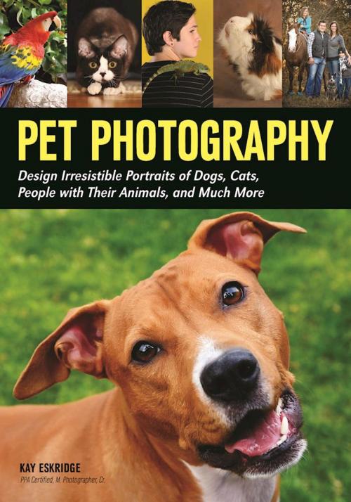 Cover of the book Pet Photography by Kay Eskridge, Amherst Media