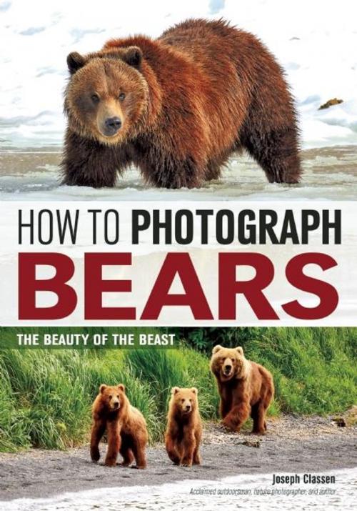 Cover of the book How to Photograph Bears by Joseph F. Classen, Amherst Media
