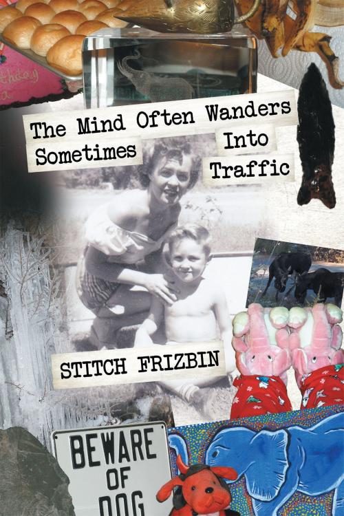 Cover of the book The Mind Often Wanders Sometimes Into Traffic by Stitch Frizbin, Page Publishing, Inc.