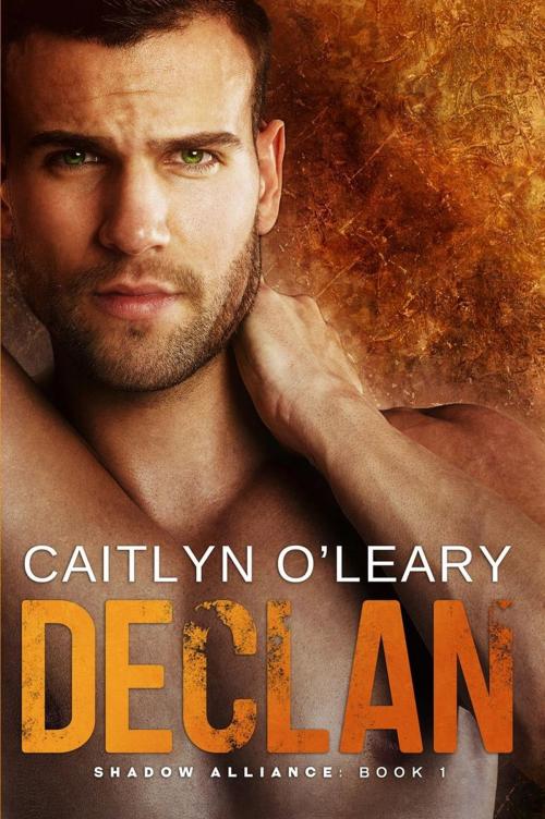 Cover of the book Declan by Caitlyn O'Leary, Passionately Kind Publishing