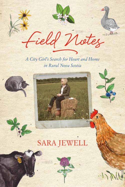 Cover of the book Field Notes by Sara Jewell, Nimbus