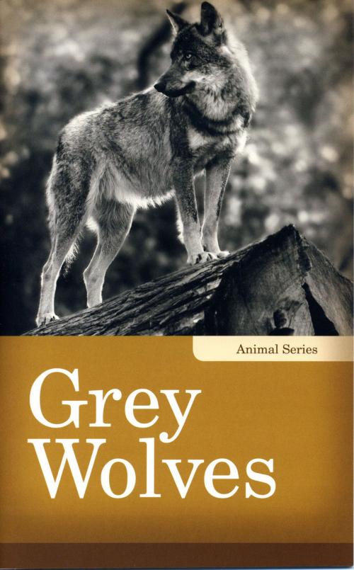 Cover of the book Grey Wolves by Linda Kita-Bradley, Grass Roots Press