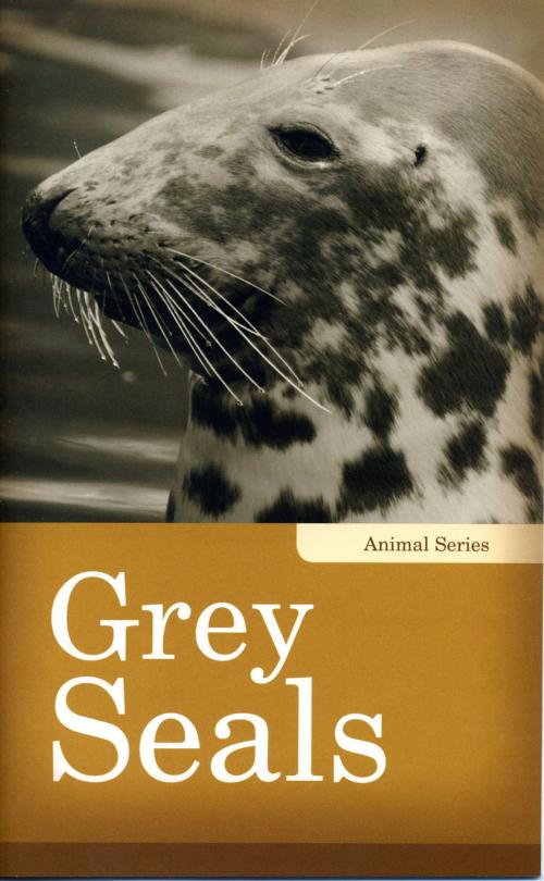 Cover of the book Grey Seals by Linda Kita-Bradley, Grass Roots Press