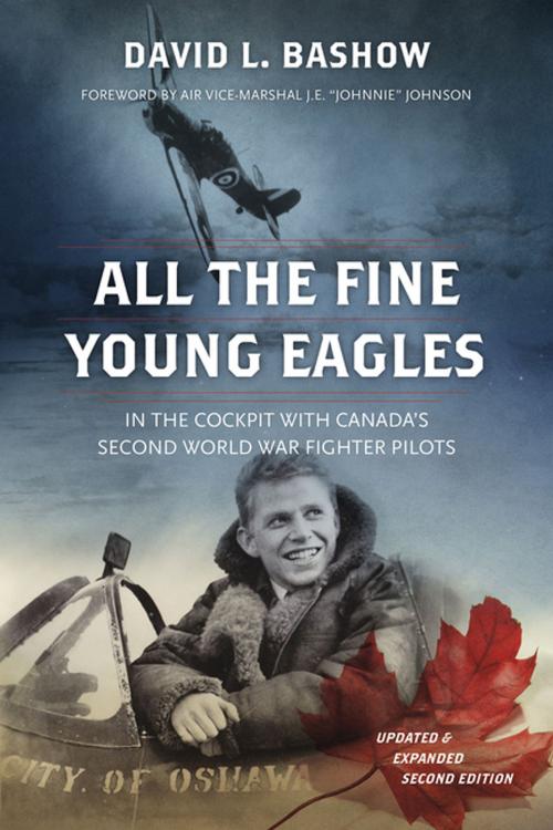 Cover of the book All the Fine Young Eagles by David L. Bashow, Douglas and McIntyre (2013) Ltd.