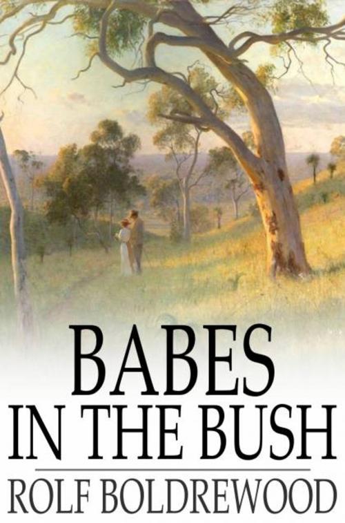 Cover of the book Babes in the Bush by Rolf Boldrewood, The Floating Press