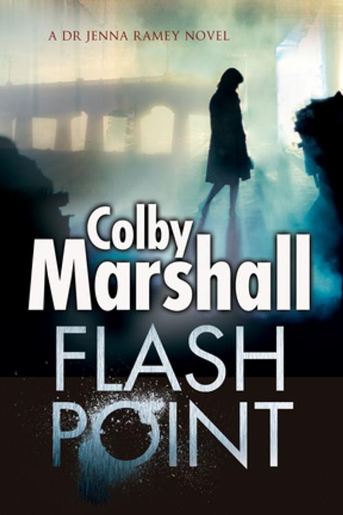 Cover of the book Flash Point by Colby Marshall, Severn House Publishers
