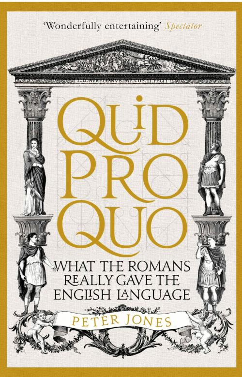 Cover of the book Quid Pro Quo by Peter Jones, Atlantic Books