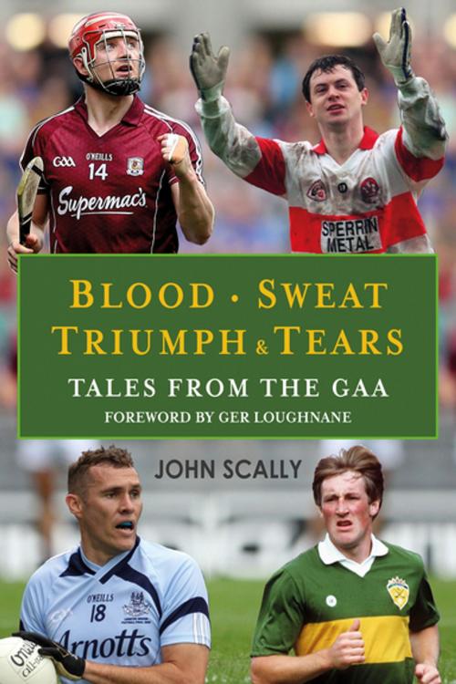 Cover of the book Blood, Sweat, Triumph & Tears by John Scally, Black & White Publishing