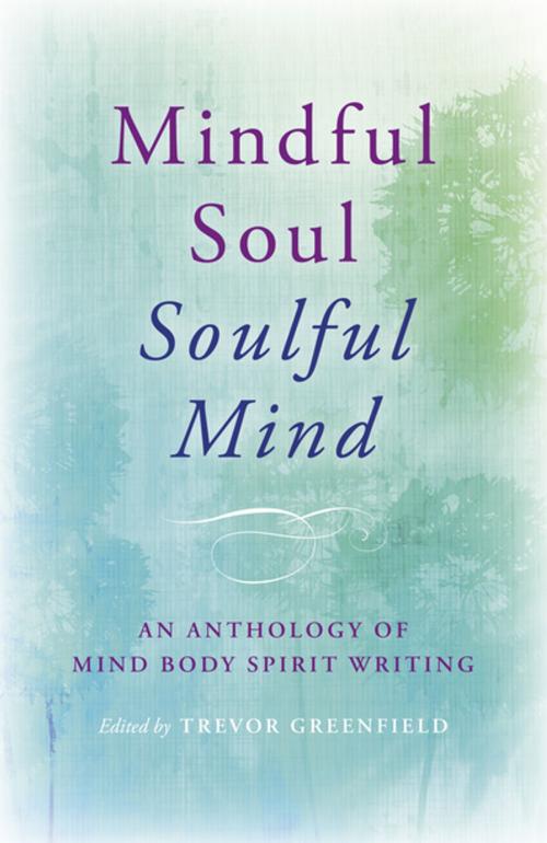 Cover of the book Mindful Soul, Soulful Mind by , John Hunt Publishing