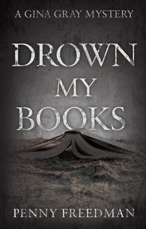Cover of the book Drown My Books by Penny Freedman, Troubador Publishing Ltd
