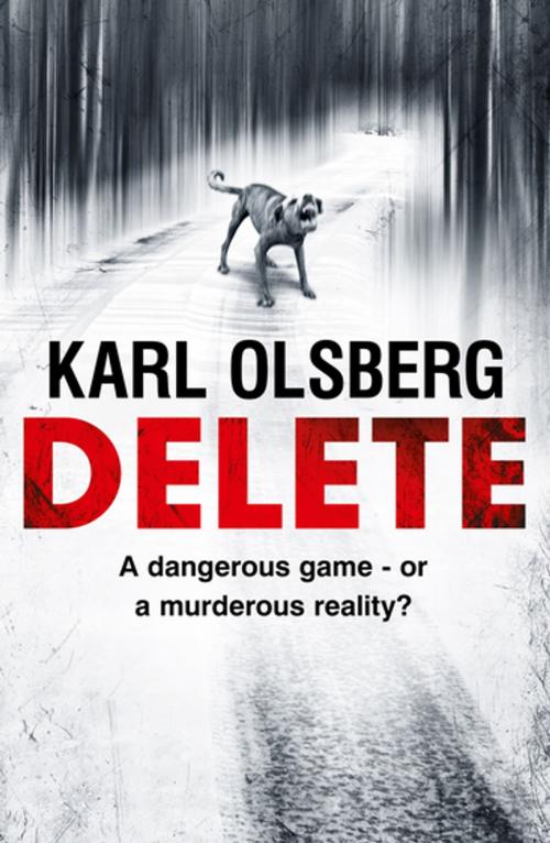 Cover of the book Delete by Karl Olsberg, Bonnier Publishing Fiction