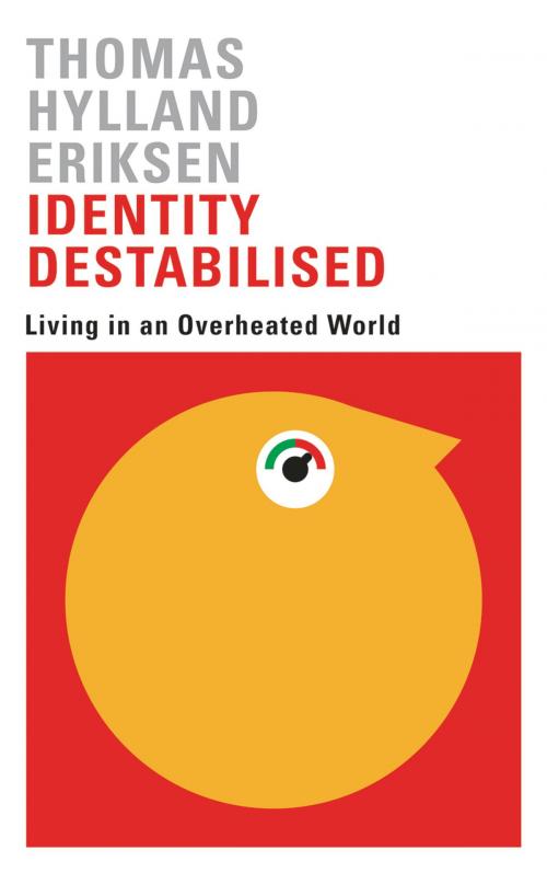 Cover of the book Identity Destabilised by , Pluto Press