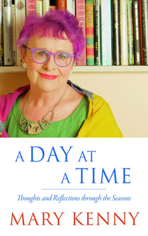 Cover of the book A Day at a Time by Mary Kenny, New Island Books