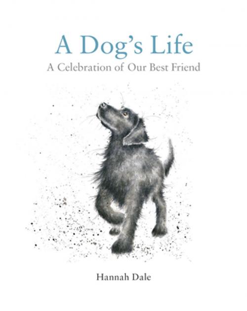Cover of the book A Dog's Life by Hannah Dale, Pavilion Books